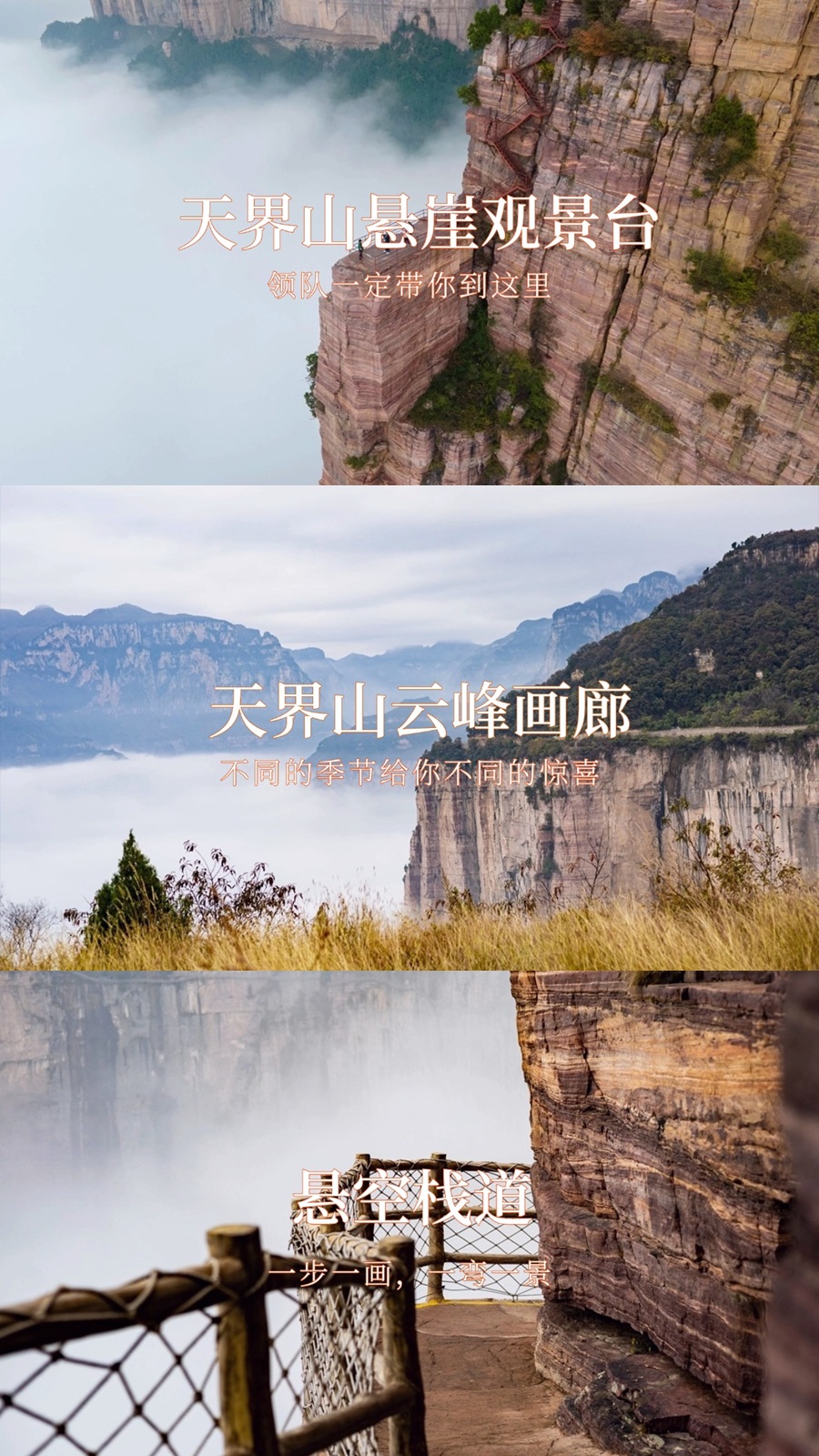 天界山云峰画廊.jpg