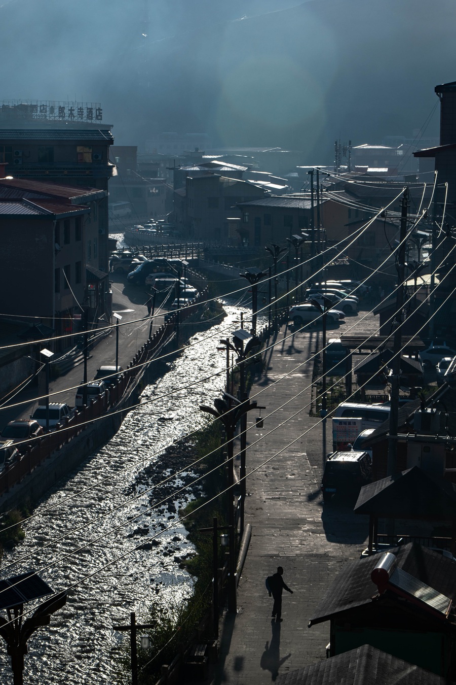 P1003413.jpg