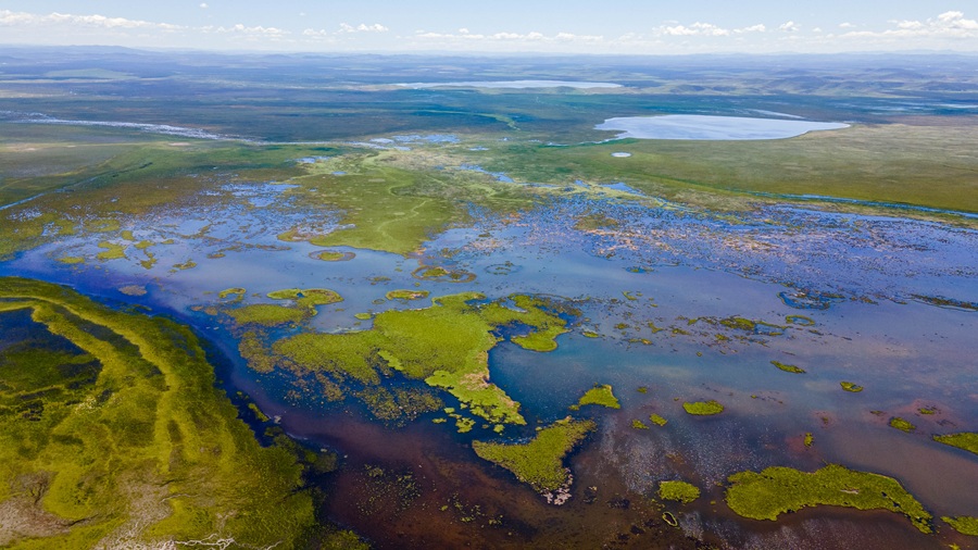 DJI_0958.jpg