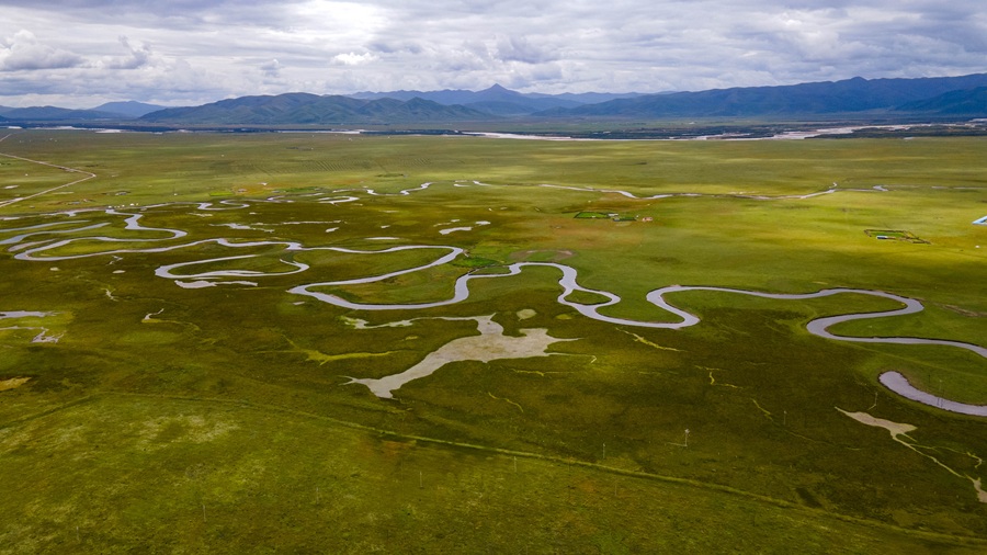 DJI_0168.jpg